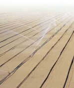 1 Kreisregner vor der Aussaat