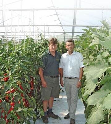 Fruchtbare Nachbarschaft in Segnitz: Zierpflanzengrtner Gerhard
Kempe (r.) berzeugt Nachbarn und Gemseproduzent Hubert Seidel (l.)
vom Kokossubstrateinsatz.