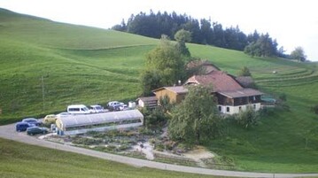 Der Kruteranbau in der Schweiz findet vor allem in kleineren Betrieben in
Berggebieten statt, hier Theilers Napf-Kruter in Hergiswil bei Willisau.