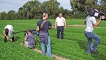 Rucola-Ernte im Medienrummel: Mathias Schick (l.) und Uwe
Beutelmann (2.v.r.) demonstrierten das Schneiden des beliebten
Blattgemüses von Hand und die erste sorgfältige Kontrolle des
Ernteguts auf dem Feld. Weitere Überprüfungen durch das
Personal an den Sortierbändern im Betrieb schließen sich an.