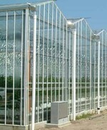 Das neue 17.000 m² große
Gewächshaus im Betrieb Cattori
wurde 2006 von Van Dorssen &
Frensch gebaut.