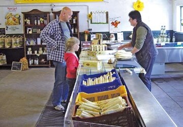Ausschlielich aus der Khltheke
wird der frische Spargel im
Hofladen vermarktet.