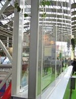 Doppellagige Gewächshaus-
Stehwand als Hilfsmittel, um
die Innenluft ohne Heizen
trockener zu halten