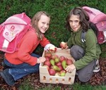Im Rahmen eines Pilotprojekts „Schulfrucht“ zeigte sich, dass
6- bis 19-Jährige keinerlei grundsätzliche Abneigungen gegen bestimmte
Produkte haben. Am beliebtesten sind Erdbeeren, gefolgt
von Äpfeln und Bananen sowie Gurken, Karotten und Tomaten.