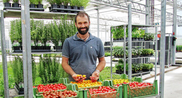 Manuel Stollmaier vor seinem umfassenden Sortiment an Krutern und Tomatensorten.