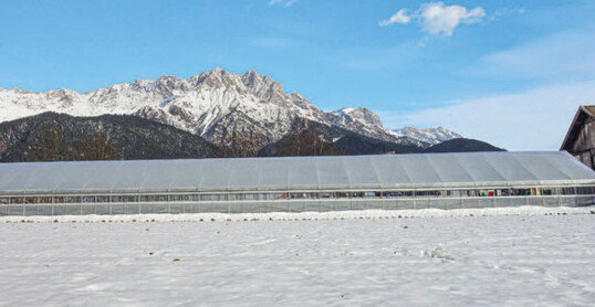 Alpiner Standort in Salzburg (sterreich) auf 1.500 m Seehhe