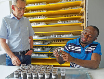 Inkubationsversuche zur Nhrstoffwirkung organischer Reststoffe: Kwame Ampong (rechts) mit LUFA-Direktor Prof. Dr. Franz Wiesler. 