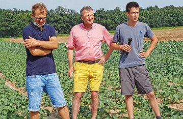 V. l.: Achim Gernert, Organisator des Flurgangs, Dr. Andreas Becker (AELF Kitzingen-Wrzburg), und Gemsebauer Dominik Hhn erklren den Praxisversuch. 