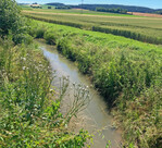 Bei Unsicherheit, ob es sich um ein Gewässer handelt, für das ein Gewässerrandsteifen notwendig ist, empfiehlt es sich, beim zuständigen WWA anzufragen.