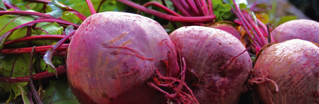 Rote Beete