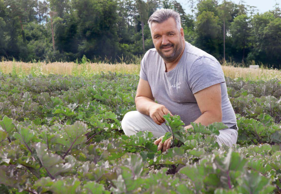 Sven Studer ist Koordinator Landwirtschaft auf dem Spargelhof der Jucker Farm in Rafz. Seine Aufgabe ist, die regenerative Landwirtschaft zu entwickeln. Hier kniet er in einem Feld mit Kalettes, einer Kreuzung aus Rosenkohl und Grünkohl.