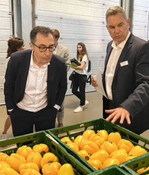 BM Cem Özdemir und Johannes Bliestle während der Betriebsbesichtigung der Reichenau-Gemüse eG.