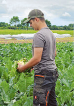 Die Wahl der richtigen Geräte und Maschinen für die Ernte ist auf dem Feld das A und O. Beim Azubitag durften sich die Junggärtner ausprobieren.