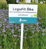 Legufit Öko ist eine der wenigen Mischungen, die von Saatgutanbietern (wie der DSV) für Gemüse auf dem Markt sind.