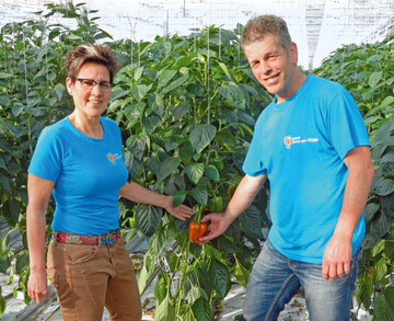 Wim und Annette Hermans setzen seit dreiig Jahren ausschlielich auf orange farbenen Paprika.