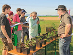 So bezogen die Mitarbeiter der BASF die Teilnehmer des Feldtags mit ein: Unkräuter sollten erkannt werden und es gab Preise zu gewinnen.