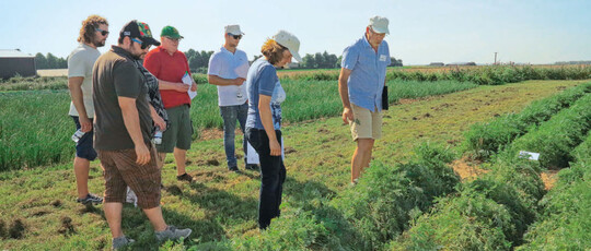 Dr. Torsten Griebel (r.) informierte in einem Versuch in Möhren über die Möglichkeiten der Bekämpfung von Alternaria und Echtem Mehltau.