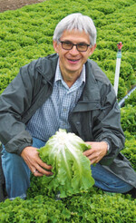 Hubert Müller mit der 1 kg wiegenden Endivie ‘Anconi RZ’