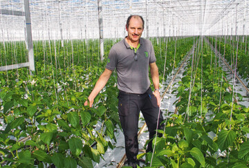 Peter Verbene hat fr die Produktion von grnem Paprika in eine Wrmepumpe investiert.