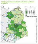 Gemüseanbaufläche in ostdeutschen Landkreisen im Jahr 2012