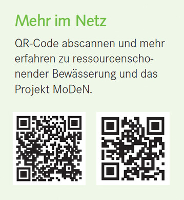 Mehr im Netz 