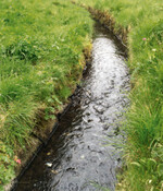 Einschränkungen gelten für den Pflanzenschutzmitteleinsatz in Bereichen an Oberflächengewässern.