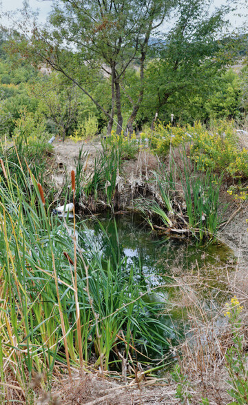 Wasser und Teiche spielen in der Permakultur eine wichtige Rolle. Im Waldpermakulturgarten von Luca Pellarini sind die Teiche vernetzt. 