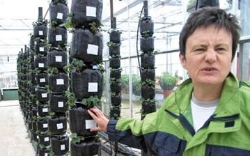 Das Fruitwise-System soll jetzt bei Erdbeeren in ersten englischen Betrieben 
getestet werden.
