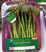 Bellaverde, eine süß schmeckende
Brokkolisorte