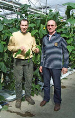 Florian und sein Vater Franz Hagn: „Die Verwendung von Kokossubstrat brachte bei der Kultur von Minigurken einen Mehrertrag von circa 20 %.“