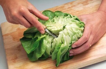 Mit nur einem Schnitt zerfllt der Kopf von Salanova-Sorten in
viele, kleine mundgerechte Bltter (oben). Rosettenartige Form
und tiefrote Farbe mit schnem bergang zur grnen Basis: dieser
Salat hat einen hohen Wiedererkennungswert im Supermarktregal (rechts).