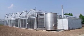 Das ZINEG-Gewchshaus in Schifferstadt: drei Venlo-Schiffe mit je 9,60 m Breite  1.000 m mit
einfachem und mehrlagigem Energieschirm, mit Doppel-PE-Folie und Doppel-Folie F-Clean und
einseitiger Firstlftung sowie Containerheizung und Speicher