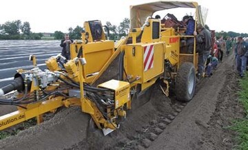 Der nicht selektiv arbeitende
Spargelvollernter Kirpy im Einsatz