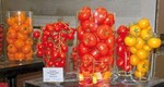 Fast unwiderstehlich finden Verbraucher Tomaten, wenn sie schön
präsentiert werden – Gartenschau-Floristen können davon ein
Lied singen.