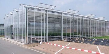 Das neue Versuchsgewchshaus des Landesbetriebs
Landwirtschaft Hessen am Gartenbauzentrum
Geisenheim besteht
aus zwei
Abteilungen mit getrennter Klimaregelung.
Staatsministerin
Silke Lautenschlger erffnete
mit dem Durchschneiden des Bands das neue
Versuchsgewchshaus.