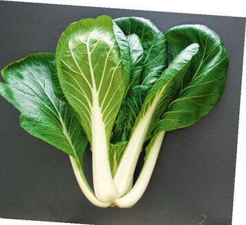 Pak Choi Joi Choi F1 (Sakata)