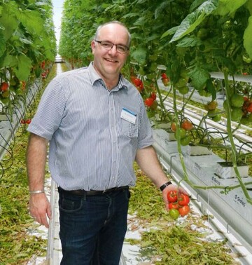 Der Grtner Marcel van den
Broek setzt auf gut schmeckende
deutsche Tomaten.