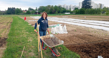 Unsere Autorin Barbara Horn
testete fr Gemse das
Mietgartensystem meine ernte
und schrieb Ihre Erfahrungen als
Hobbygrtnerin und Gemseverbraucherin
auf.
