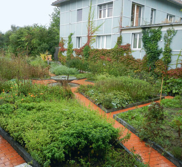 Ceres stellt Komplexmittel und Urtinkturen
her. Der Schaugarten am Firmenstandort
ist ein zentraler Punkt. Die Mitarbeiter sind
aufgefordert, sich die Pflanzen hier anzusehen,
um im Jahresverlauf ein ganzheitliches
Bild der Pflanzen zu erhalten.