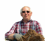 Meerrettich – gute Preise, kurze Wege, Betrieb Roß