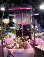 An dieser Aquaponik-Anlage für die Produktion von Gemüse und Fisch kam kein Besucher der Hortivation vorbei.