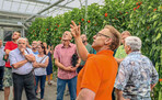 Stephan Apel, der die Fachgruppe Gemüsebau Thüringen im Vorstand der Bundesfachgruppe vertritt, führte persönlich Interessierte durch die weitläufige Gewächshausanlage.