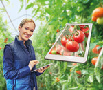 Eine Digitalstrategie ist für Gemüsebetriebe inzwischen unabdingbar.