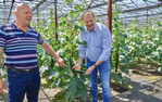 Im Gespräch mit Heiner Wischendorff (l.) gewann MdB Albert Stegemann, agrarpolitischer Sprecher der CDU/CSU-Fraktion, einen Eindruck von der Situation kleiner selbstvermarktender Gemüsebaubetriebe.