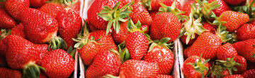 Erdbeeren