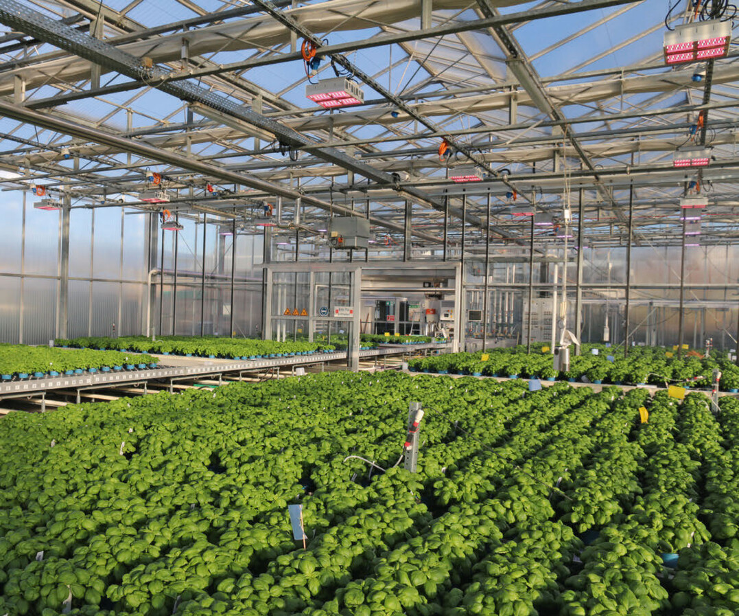 Die LED-Belichtung im Einsatz: Im Vordergrund ist der Leuchtentyp RX-400 zu sehen, im Hintergrund (andere LED-Farbe) die LED-KE-Installation.