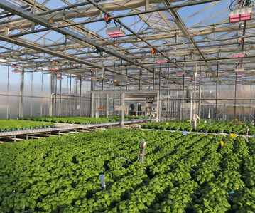 Die LED-Belichtung im Einsatz: Im Vordergrund ist der Leuchtentyp RX-400 zu sehen, im Hintergrund (andere LED-Farbe) die LED-KE-Installation.