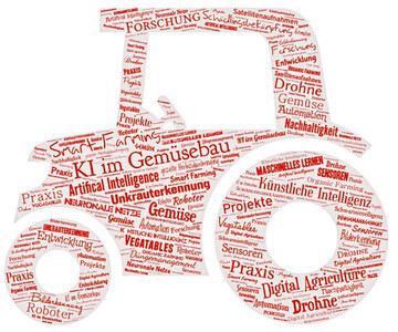 Der Einsatz 
Knstlicher Intelligenz (KI) im Gemsebau ist so vielfltig wie der Anbau selbst. 