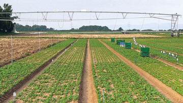 Varianten mit eingebauten Tensio-
metern und Dataloggern. Im Hintergrund der groe Giewagen.