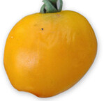 Zu Beginn der Erkrankung zeigen sich eingesunkene, flache Stellen (wie Druckstellen) auf der Frucht.